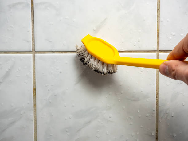 Attic Mold Removal in San Bernardino, CA